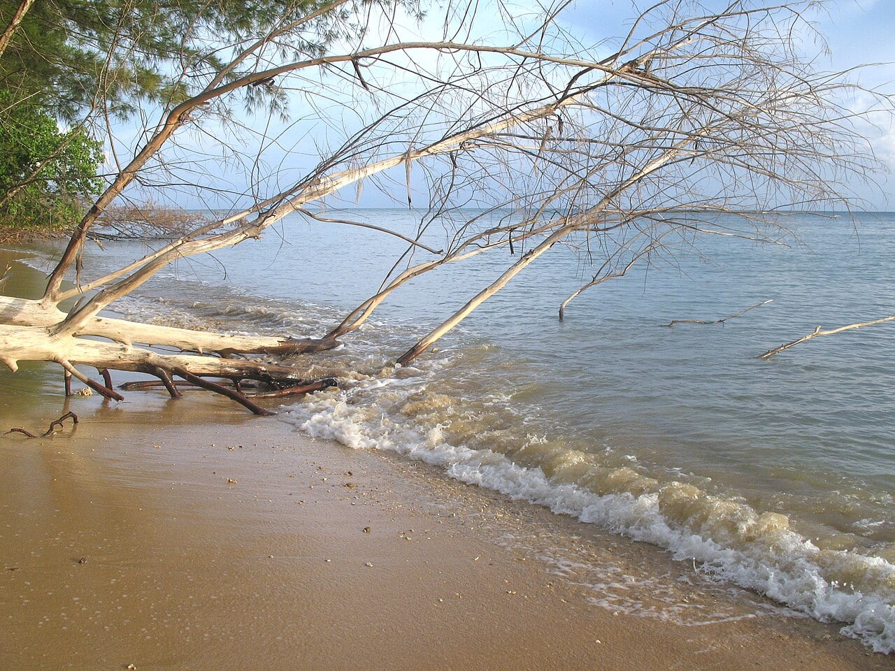 Gambar 3 Pulau Tiga Park