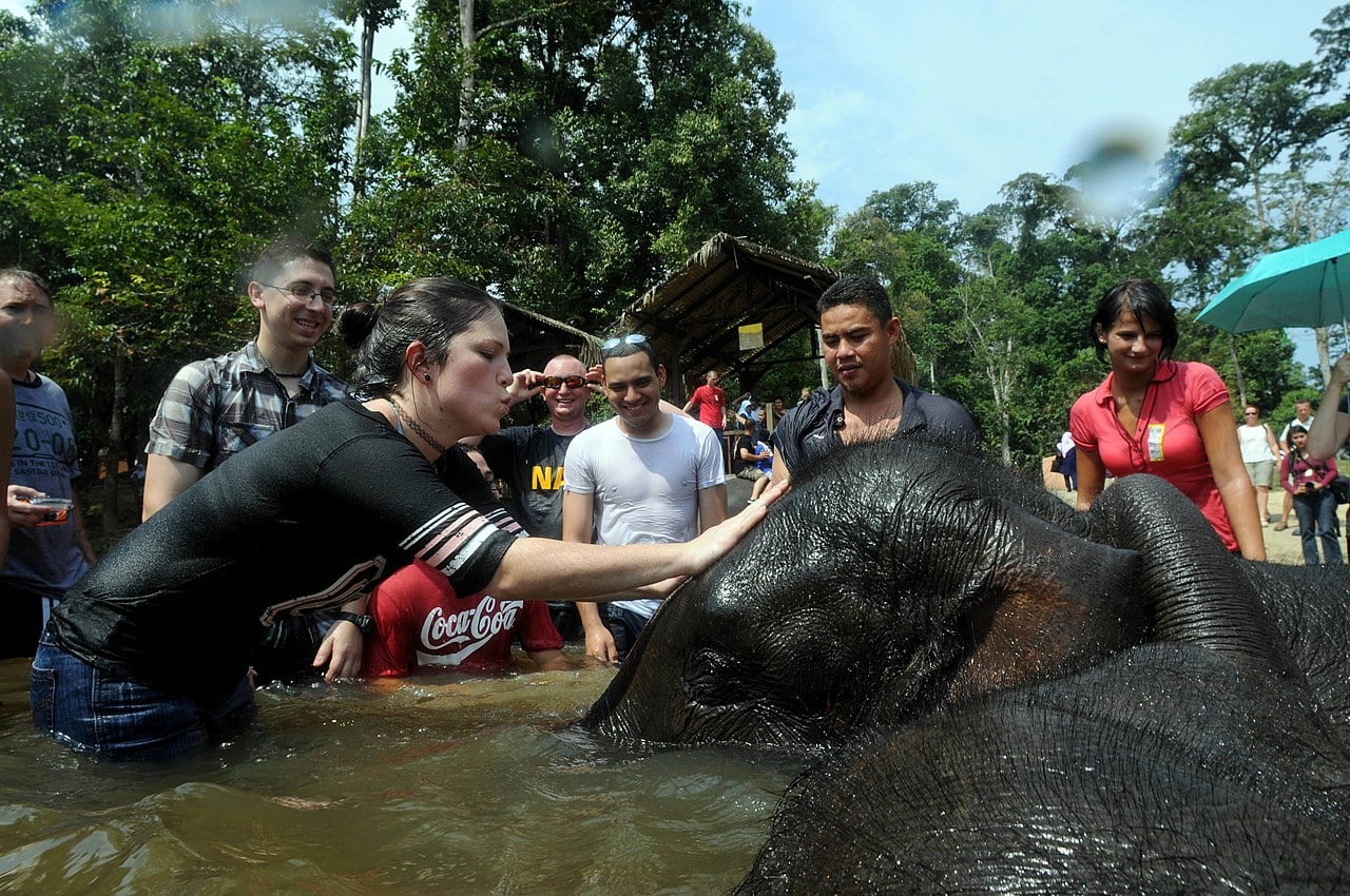 Gambar 2 Pusat Konservasi Gajah Kebangsaan Kuala Gandah