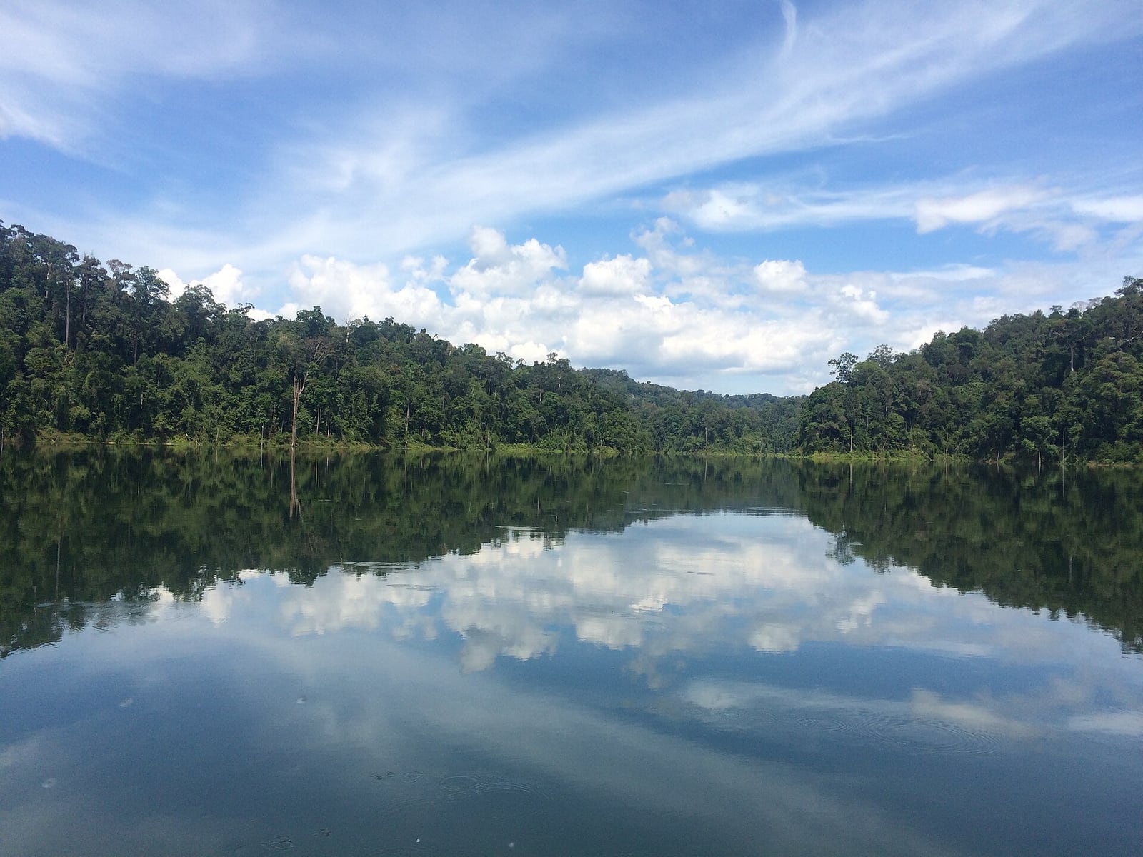 Gambar 3 Royal Belum State Park