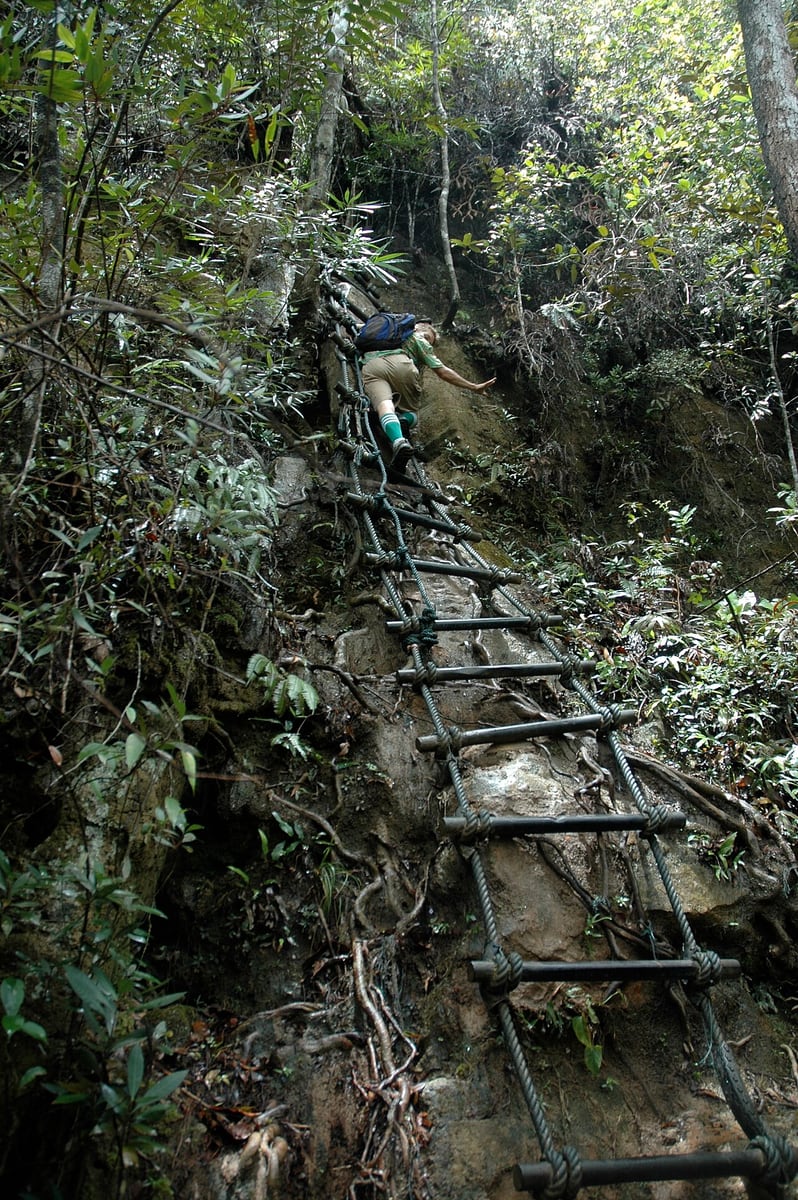 Gambar Santubong National Park