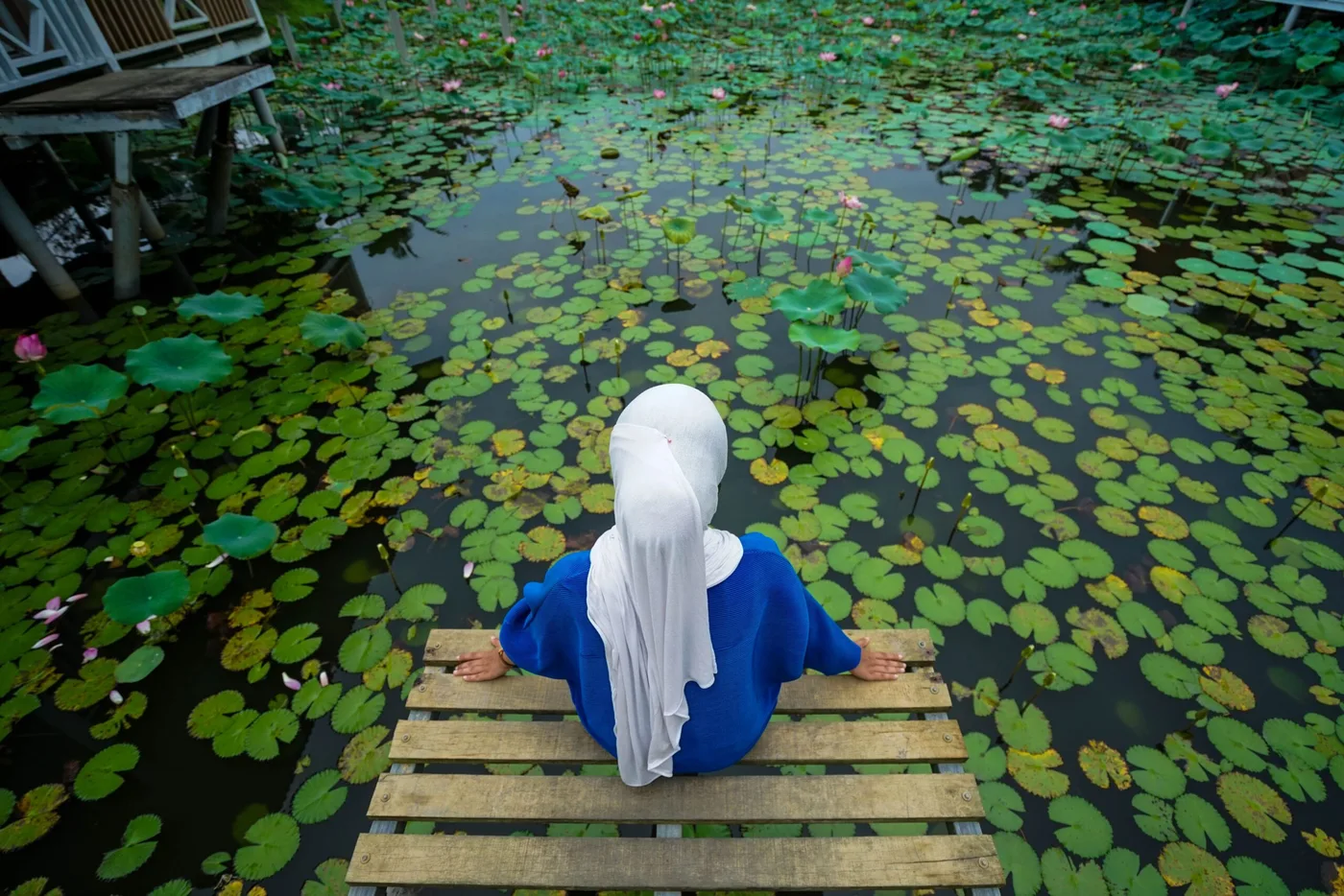 Gambar Starfish Leisure Farm