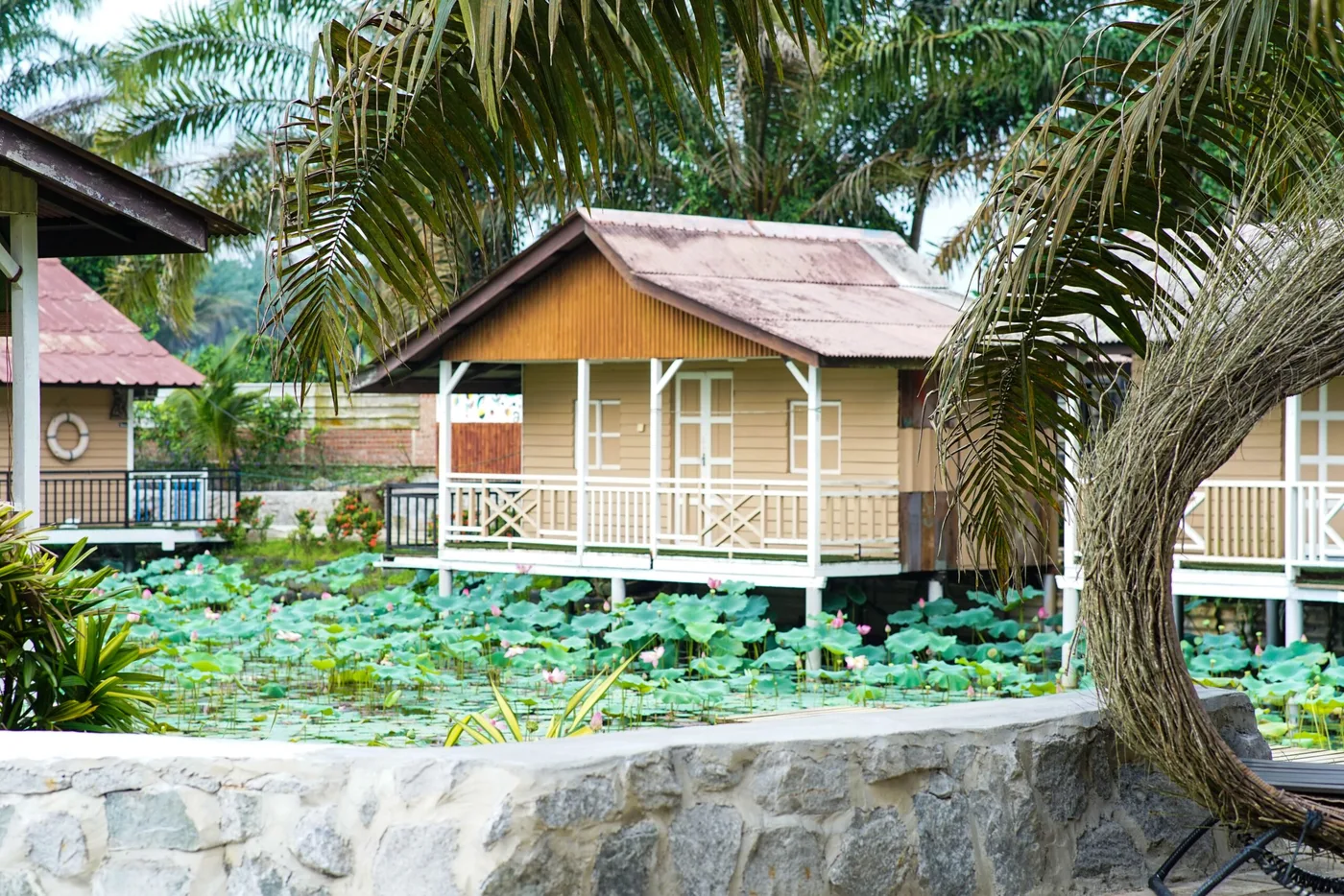 Starfish Leisure Farm — foto sebenar 2