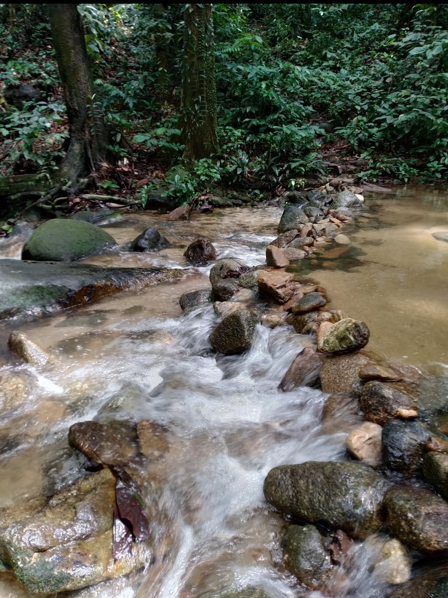 Gambar 2 Sungai Congkak Recreational Forest