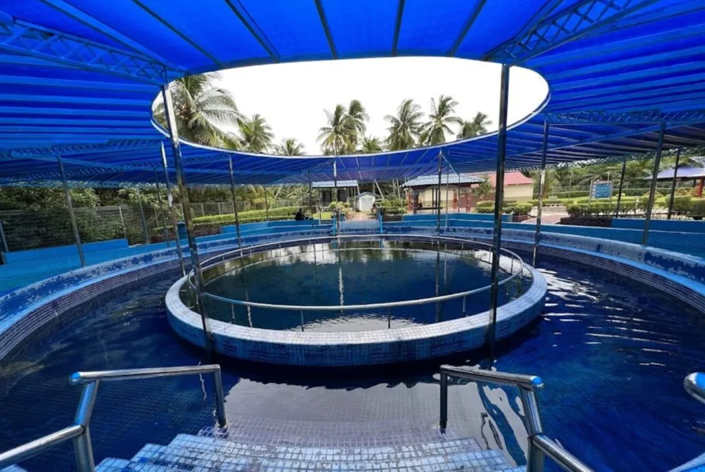 Sungai Gersik Hot Spring — foto sebenar 5