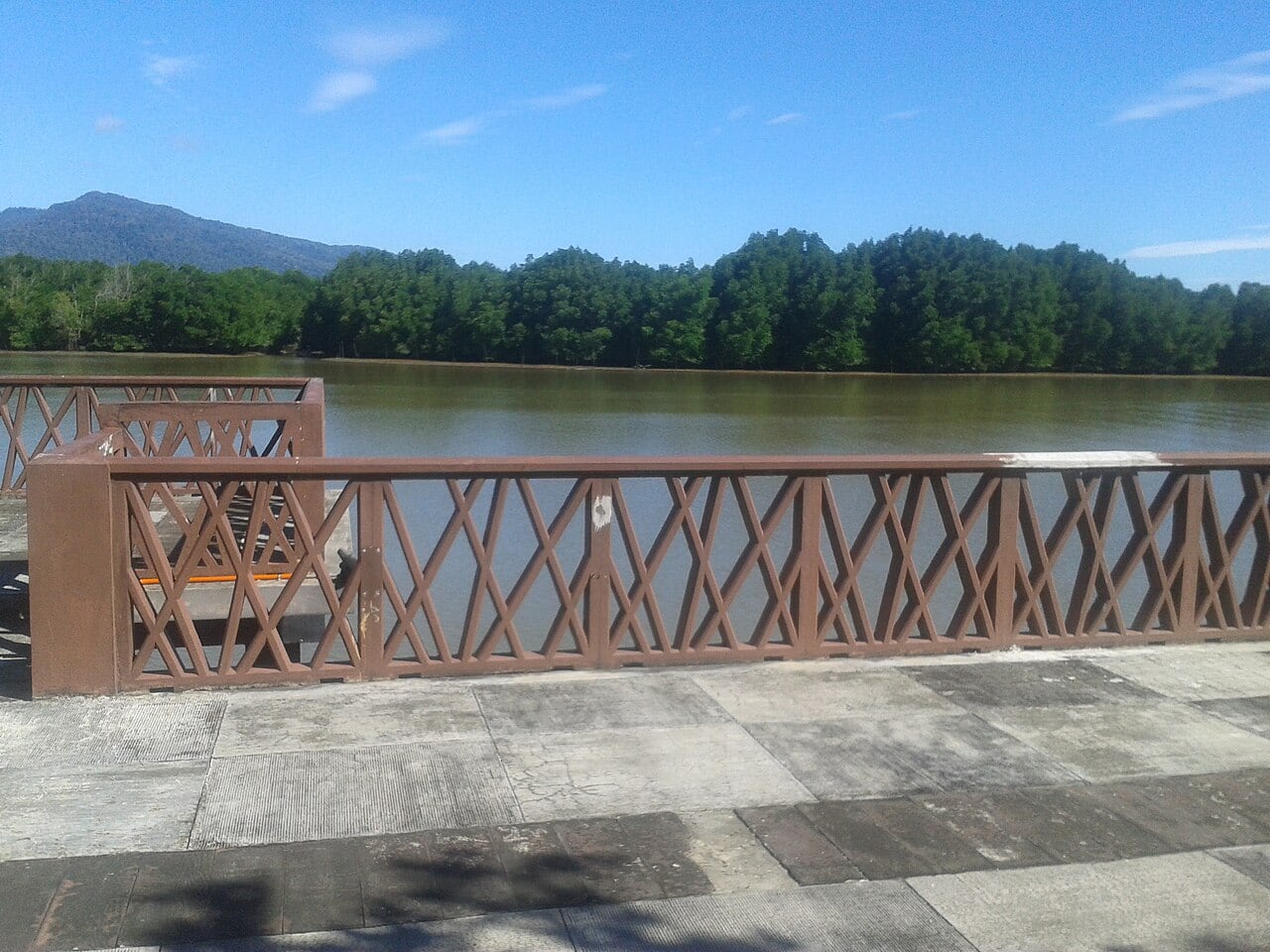 Gambar Sungai Merbok Mangrove Forest