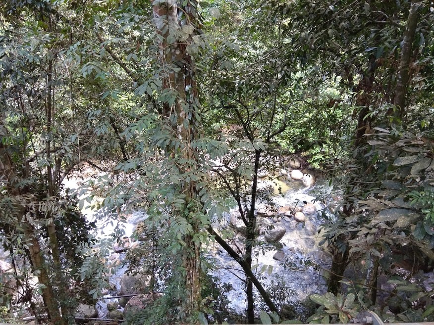 Gambar 2 Sungai Sedim Jeram Terbaik, Kulim