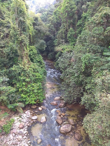 Gambar 3 Sungai Sedim Jeram Terbaik, Kulim