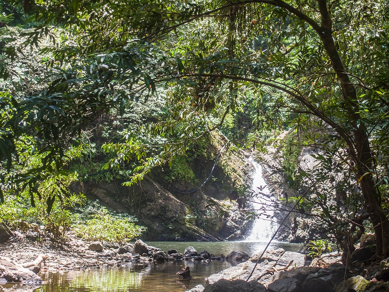 Gambar 3 Tabin Wildlife Reserve