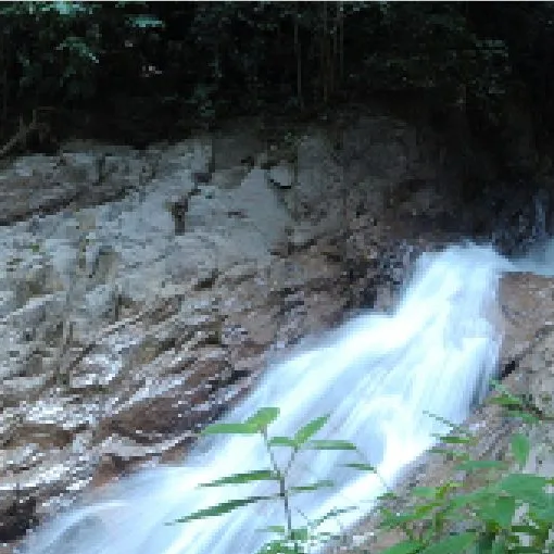 Gambar Taman Eko Rimba Taka Melor