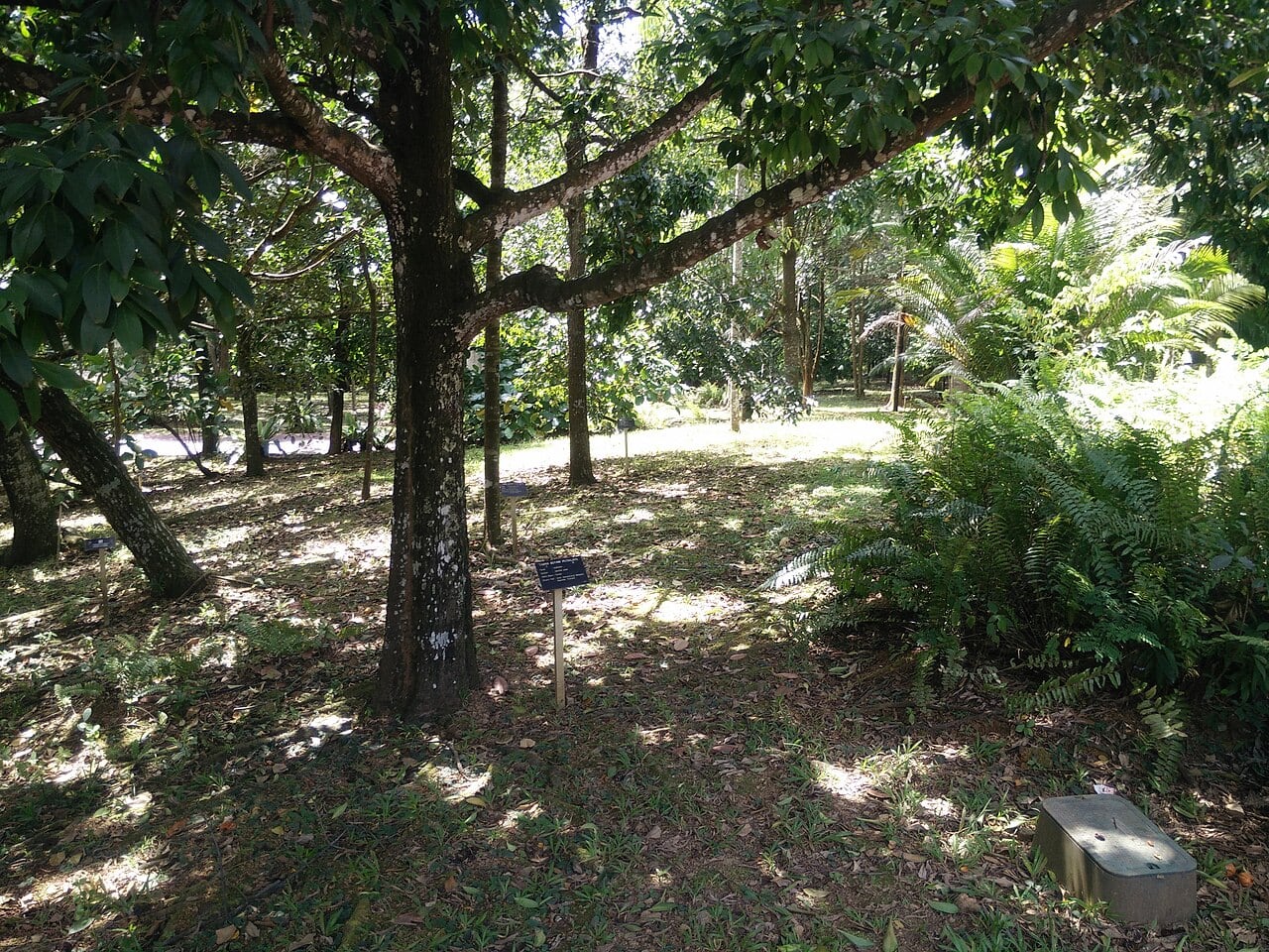 Gambar 3 Taman Botani Putrajaya