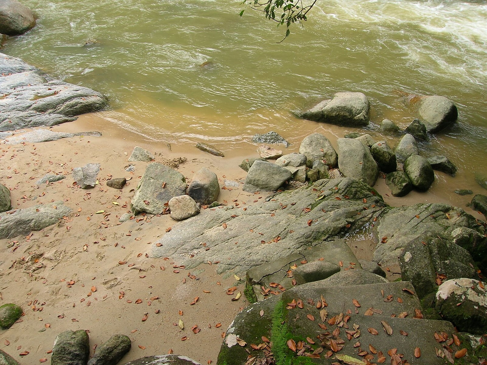 Gambar Taman Eko Rimba Chamang