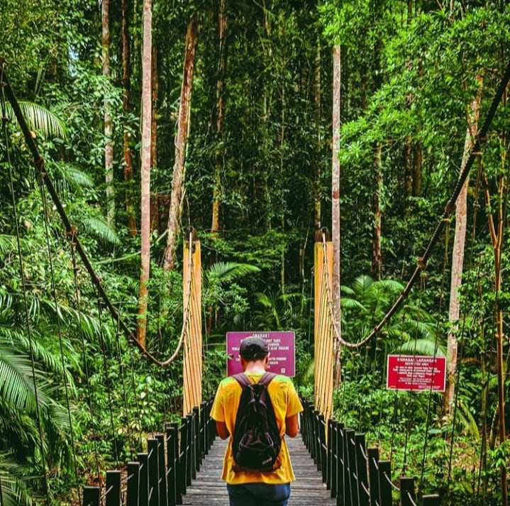 Gambar 3 Taman Eko Rimba Gunung Belumut