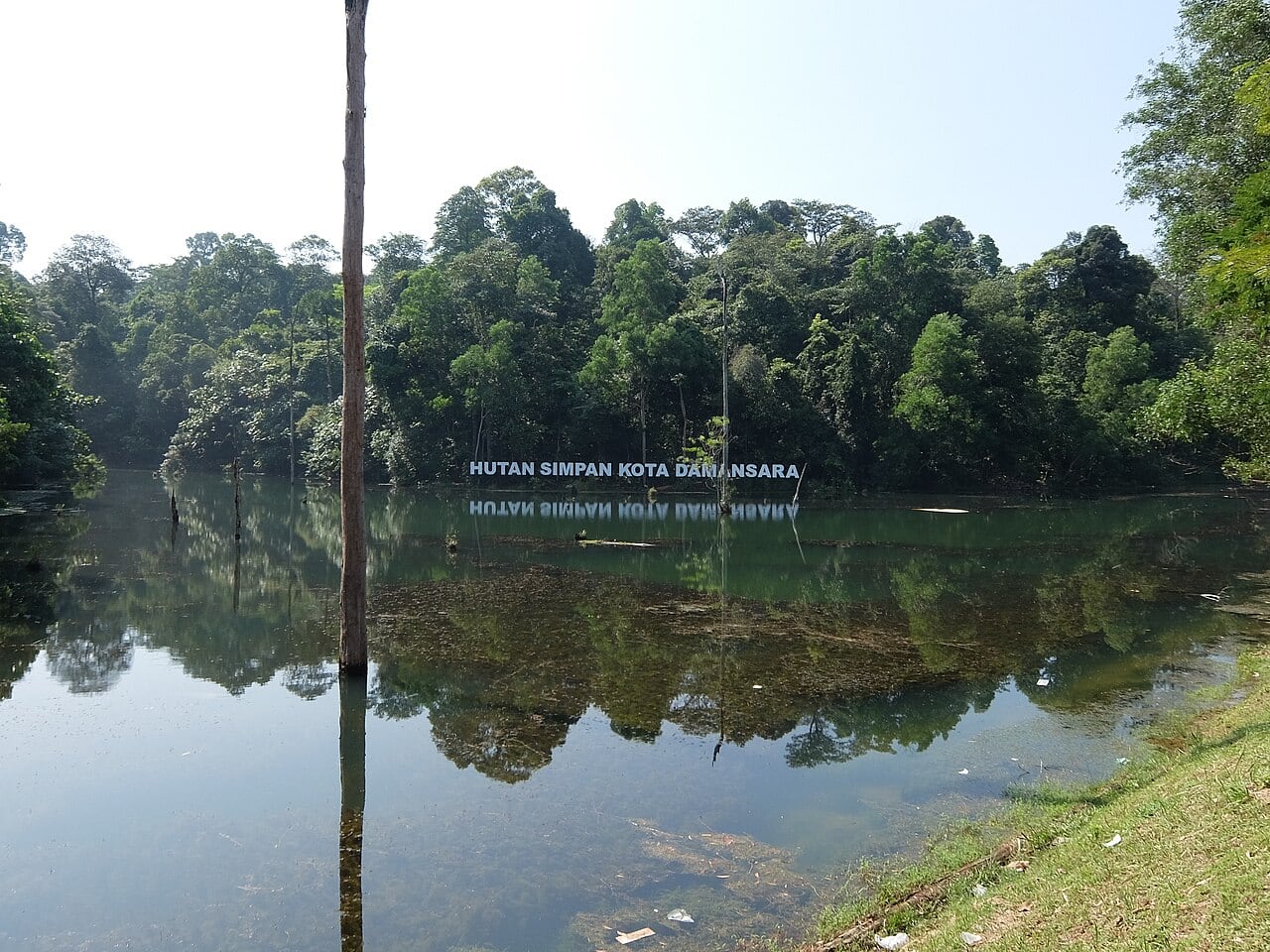 Gambar Taman Eko Rimba Kota Damansara