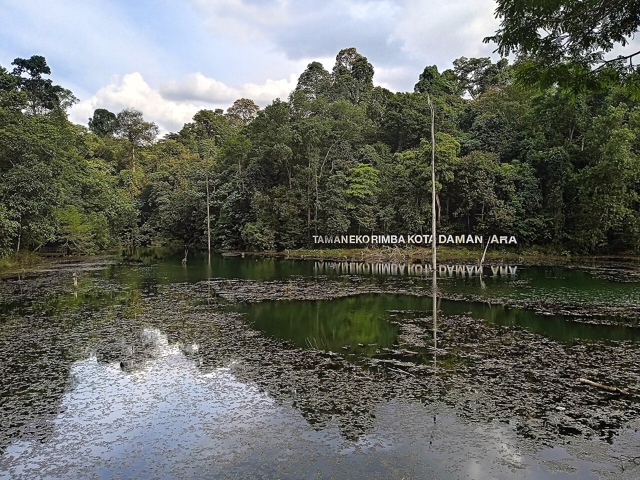 Gambar 3 Taman Eko Rimba Kota Damansara
