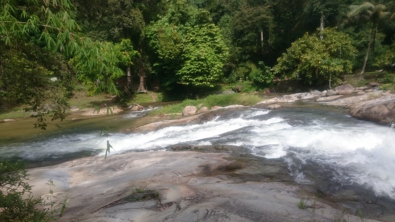 Gambar Taman Eko Rimba Lata Lembik