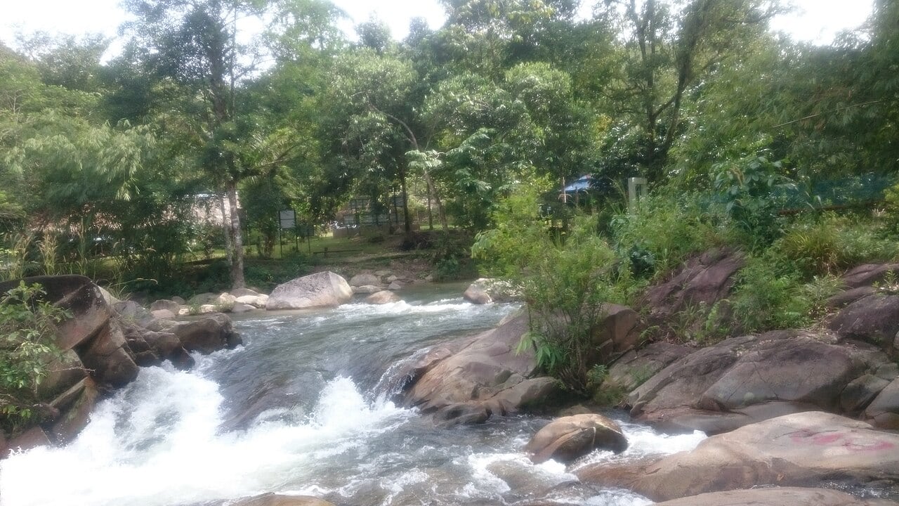 Gambar 2 Taman Eko Rimba Lata Lembik