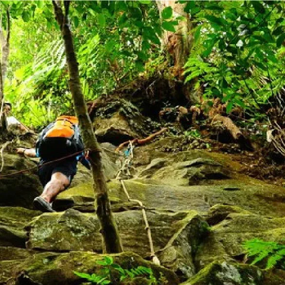 Taman Eko Rimba Panti — foto sebenar 4 (crop)