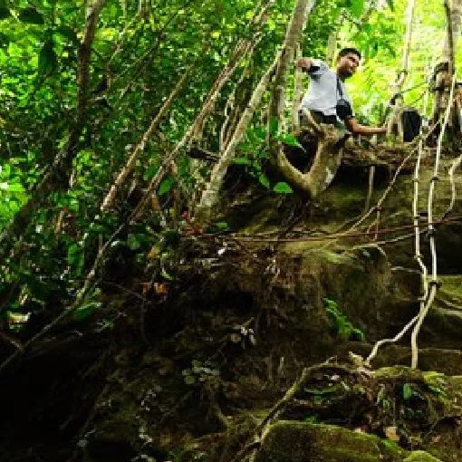 Taman Eko Rimba Panti — foto sebenar 5 (crop)