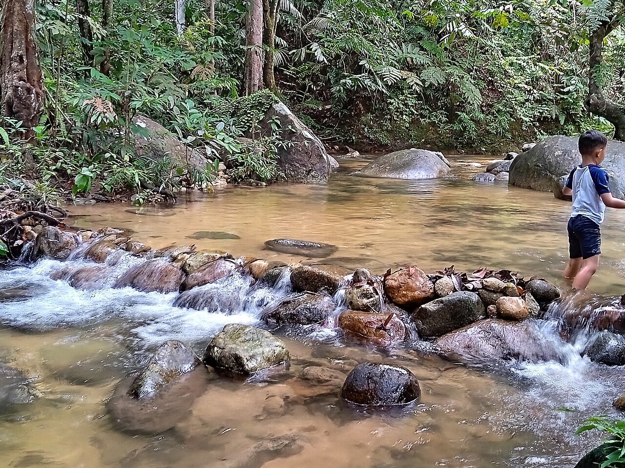 Gambar 3 Taman Eko Rimba Sungai Sendat