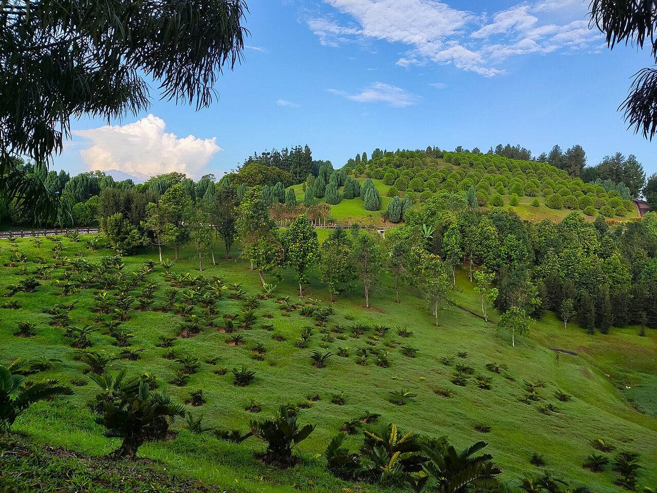 Gambar 3 Taman Saujana Hijau