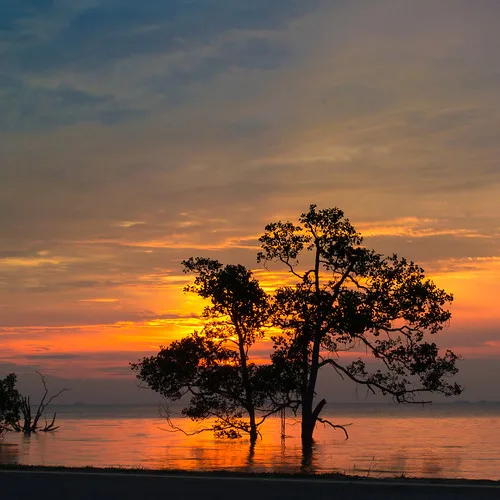 Tanjung Ketapang — foto sebenar 2