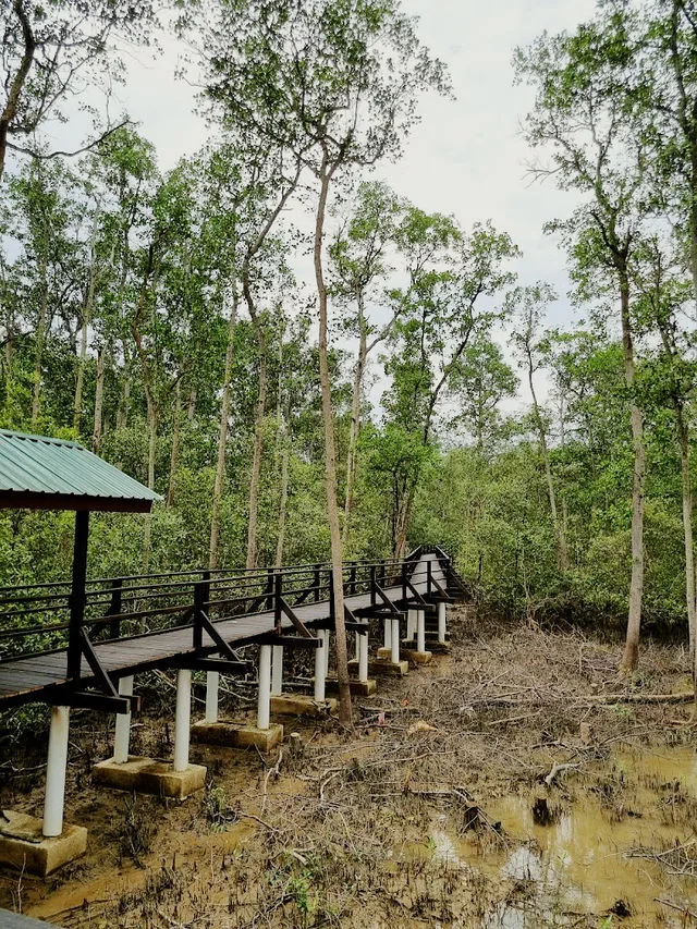 Tanjung Ketapang — foto sebenar 6