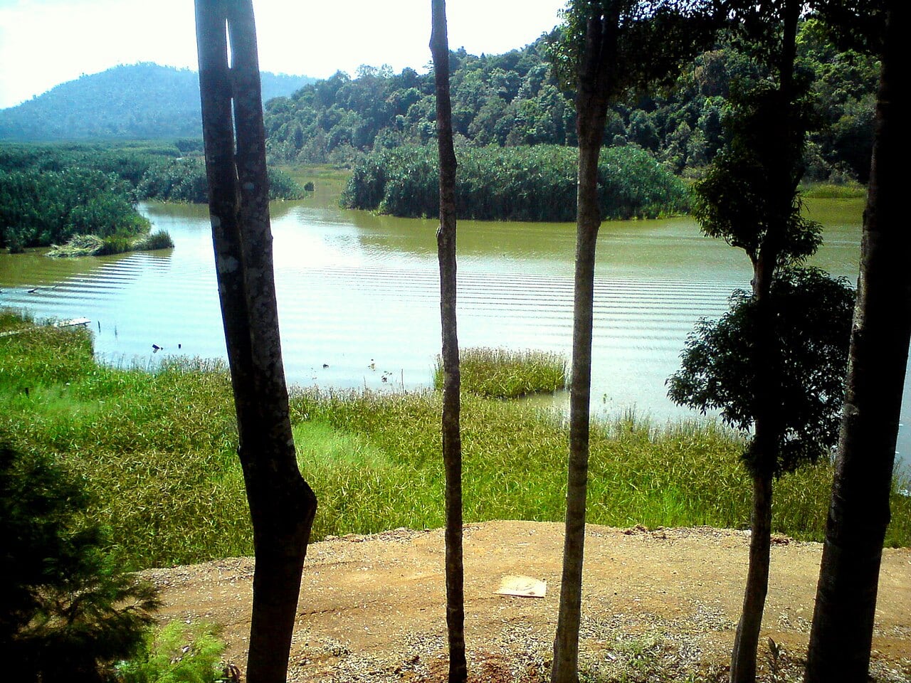 Gambar Tasik Chini