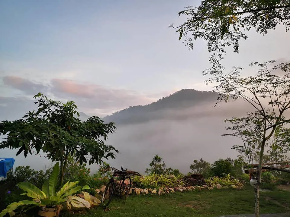 Ten Toes Camp — foto sebenar 5
