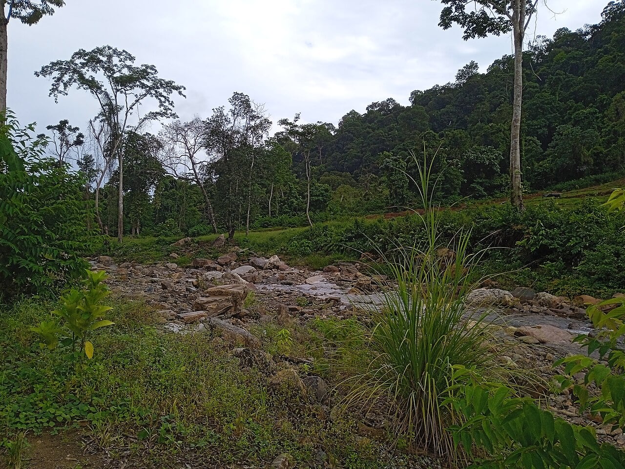 Gambar Titi Hayun Eco-Forest Park