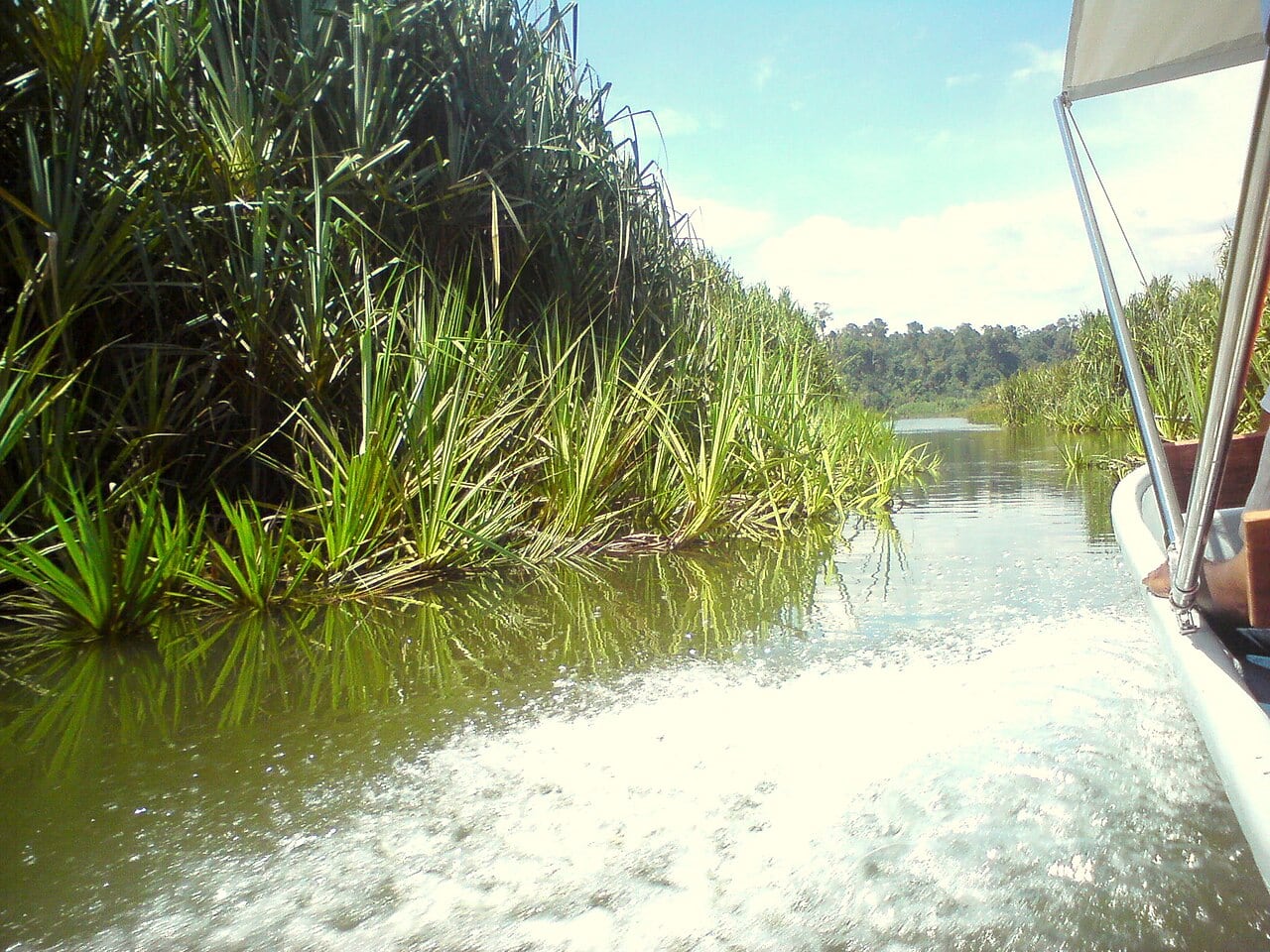 Gambar Tourism Complex Lake Chini
