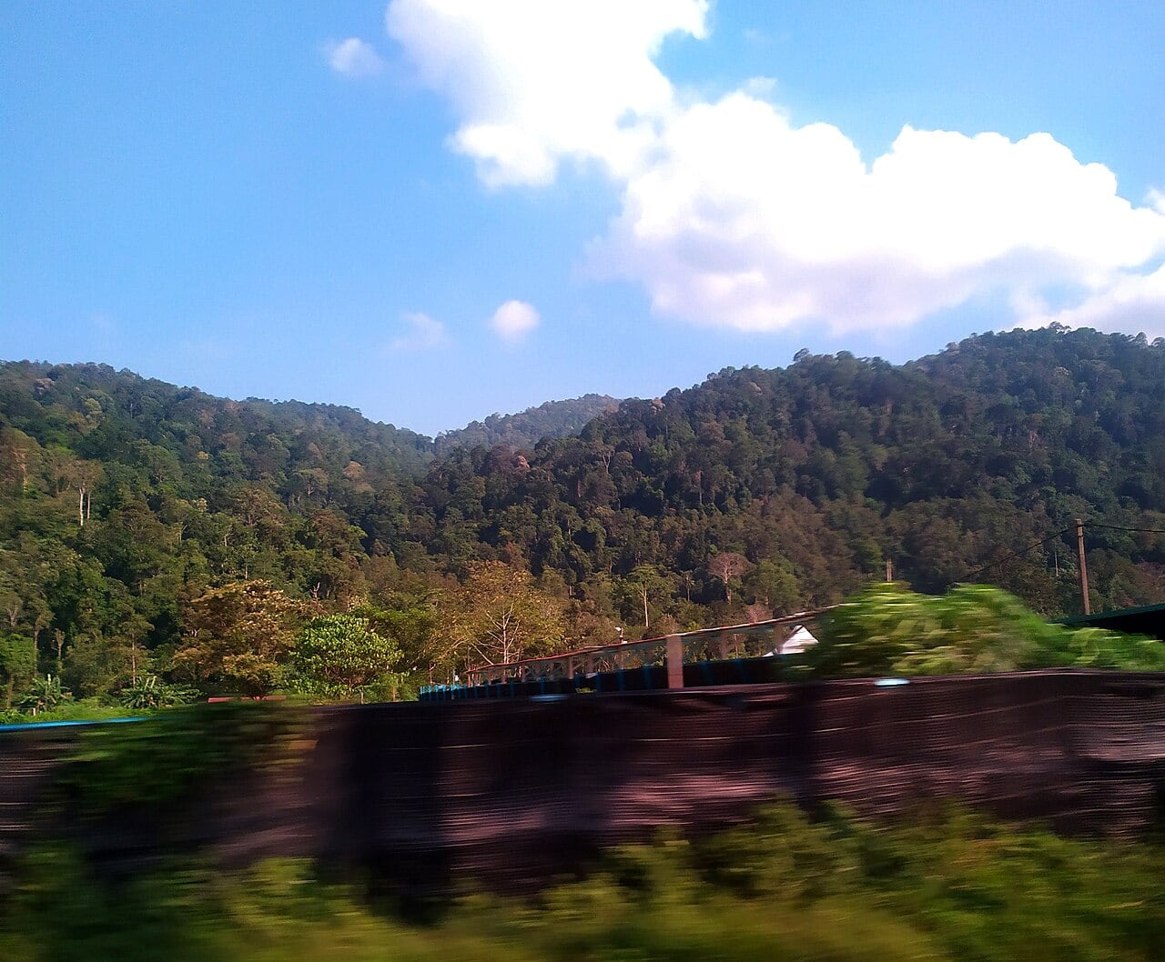 Gambar 3 Ulu Bendul Recreational Forest
