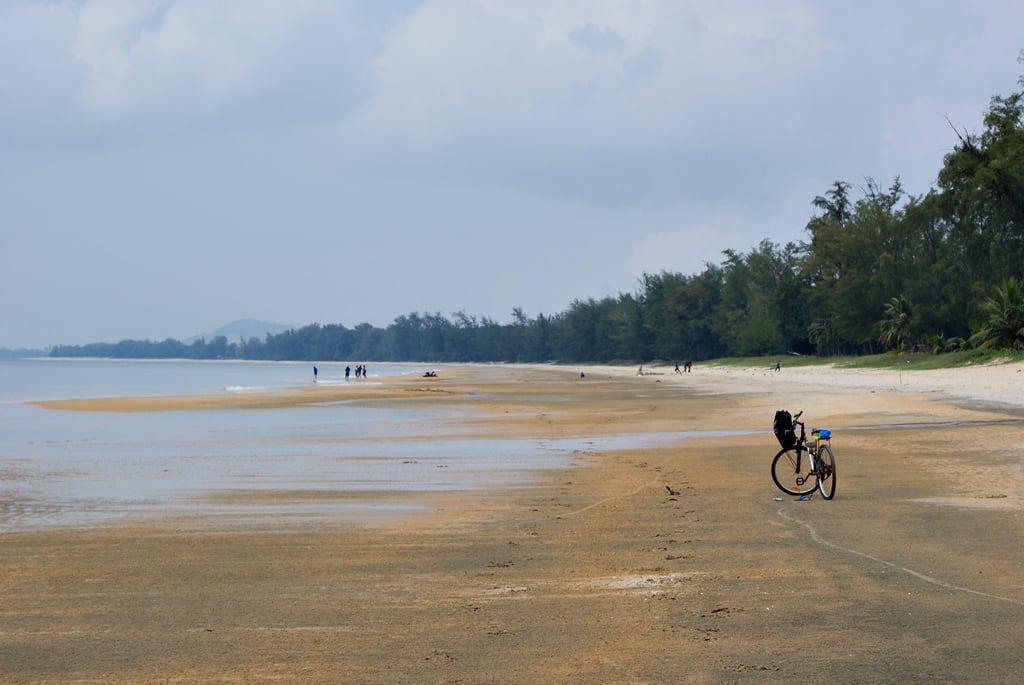 Gambar Willow Tree Cherating
