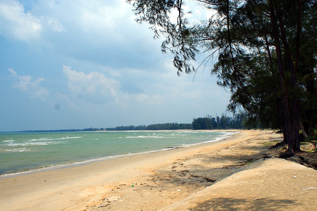 Gambar 3 Willow Tree Cherating