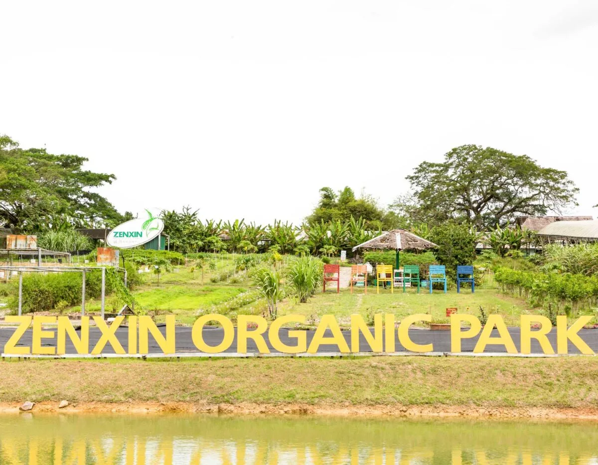 Zenxin Organic Park — foto sebenar 4